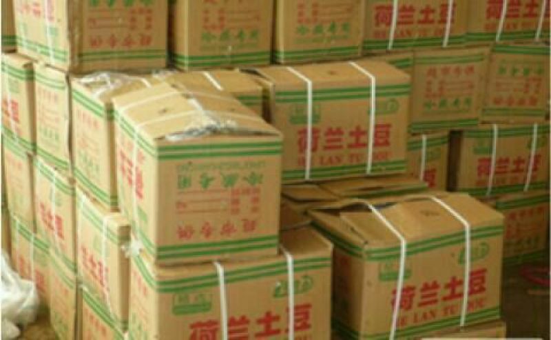 山东荷兰土豆大量上市产地基地都有货欢迎全国各地客商