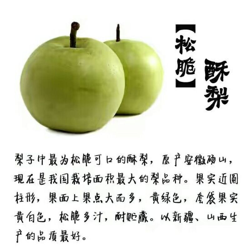 酥梨250~300g膜袋