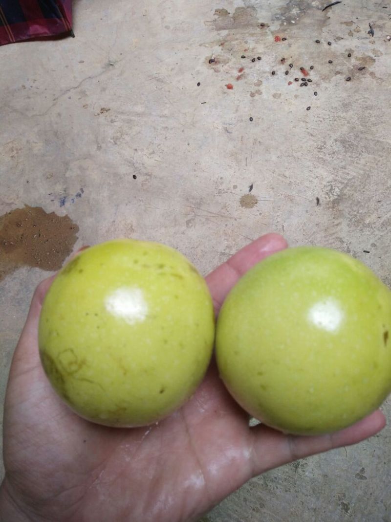 西番莲70~80g