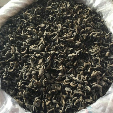 黑木耳一级
