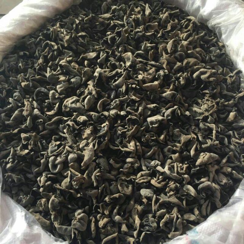 黑木耳一级