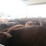 肉牛200~300斤