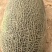 伽师瓜