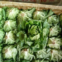 奶油生菜3两~4两