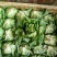 奶油生菜3两~4两