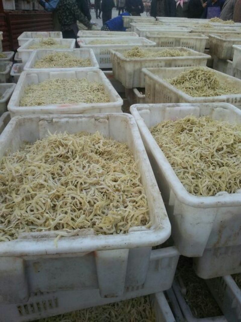 凤尾鱼干