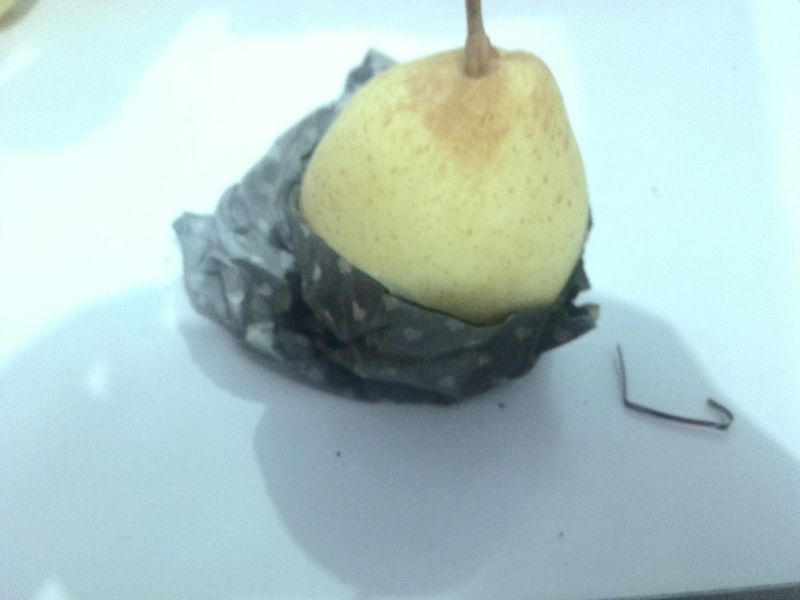 鸭梨250~300g纸加膜