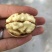 新疆185核桃30mm以上去皮干