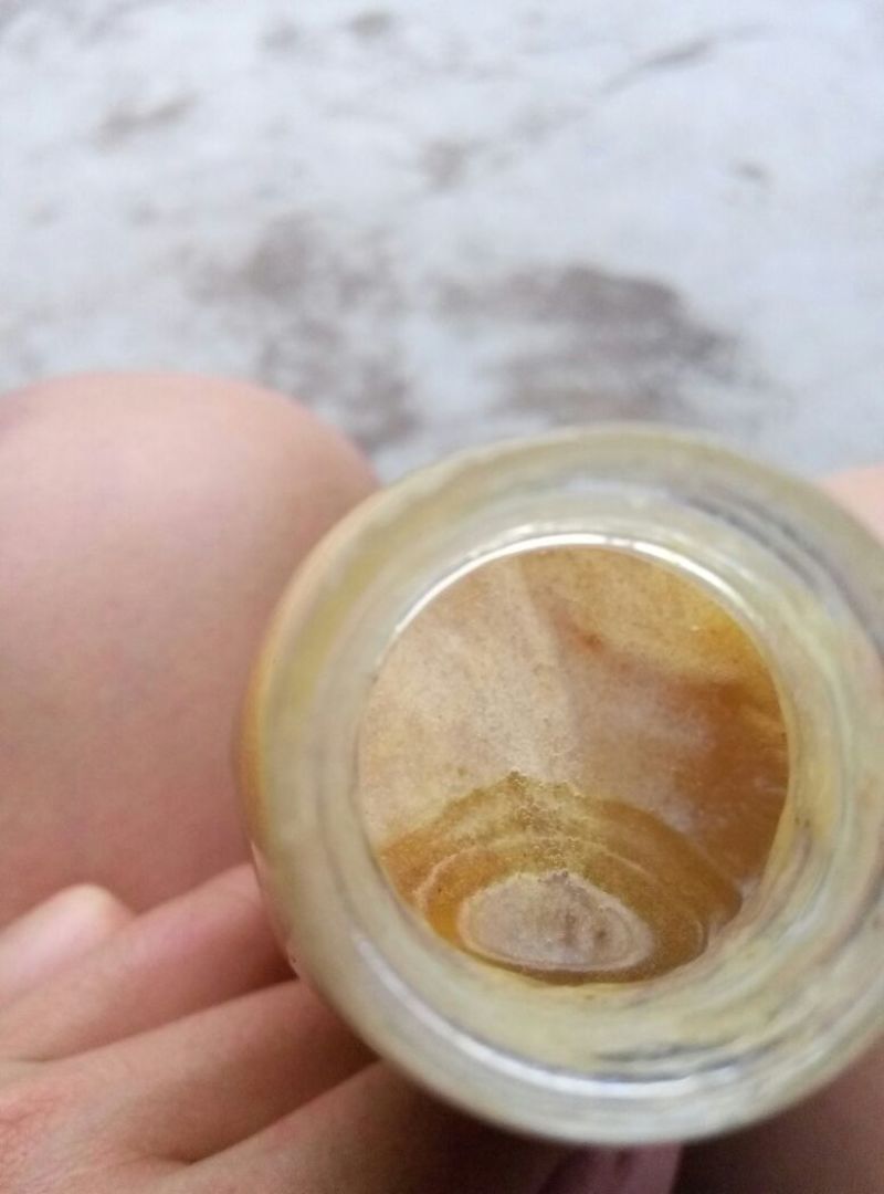 蜂蜜树洞木桶蜂