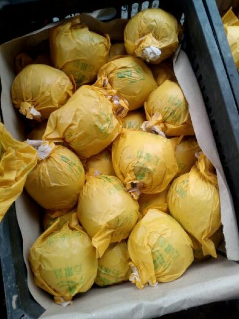 翠玉梨300~350g纸袋