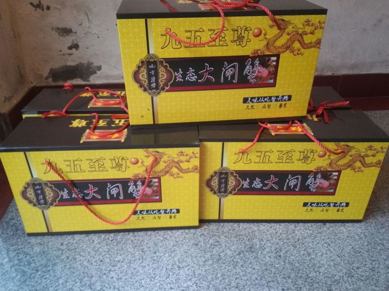 孟加拉蟹兴化大闸蟹