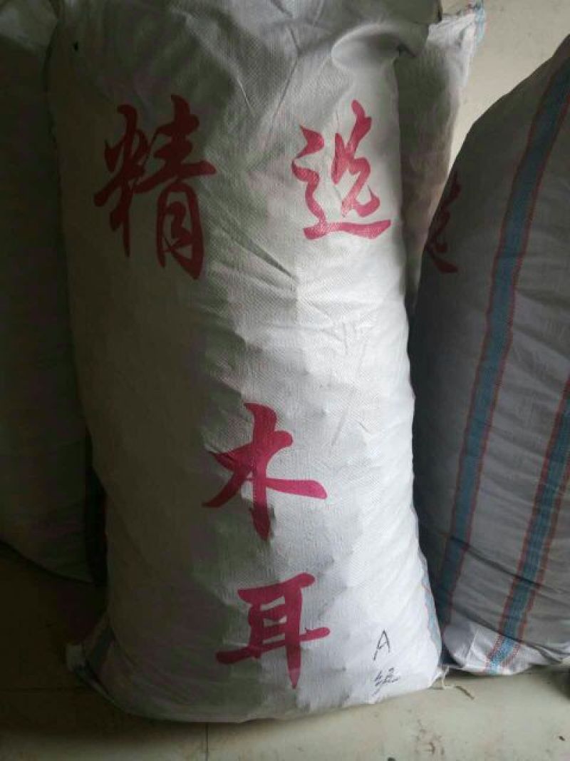 毛木耳等外