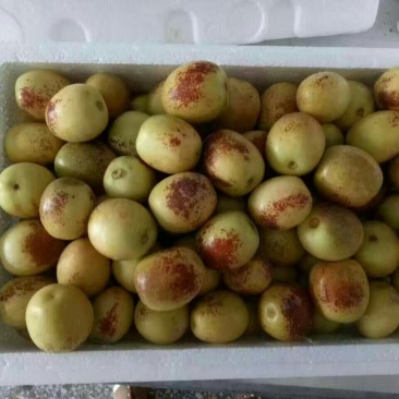 大荔冬枣拐一