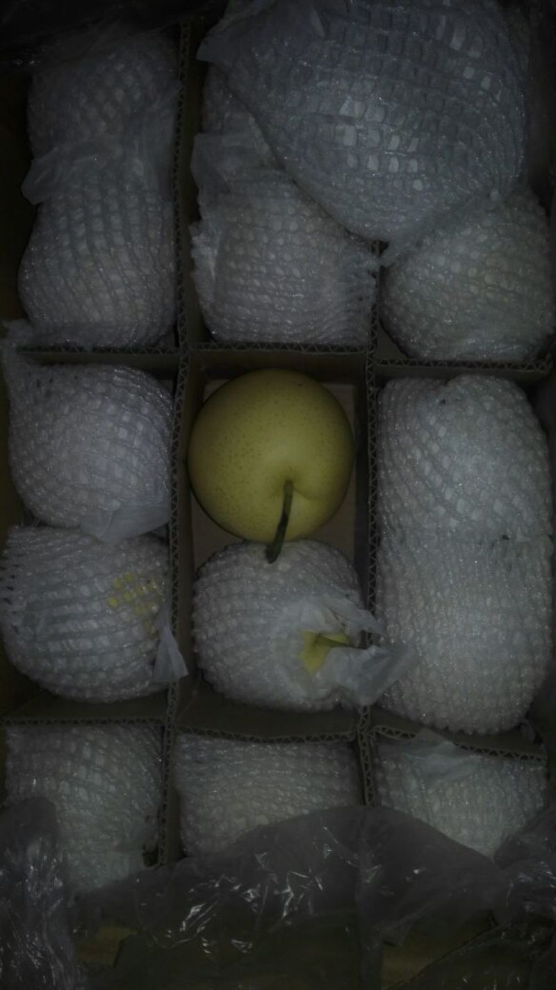 皇冠梨