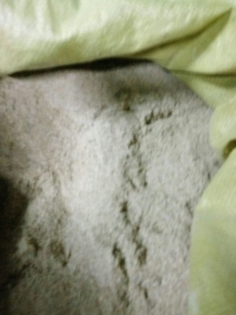 米糠