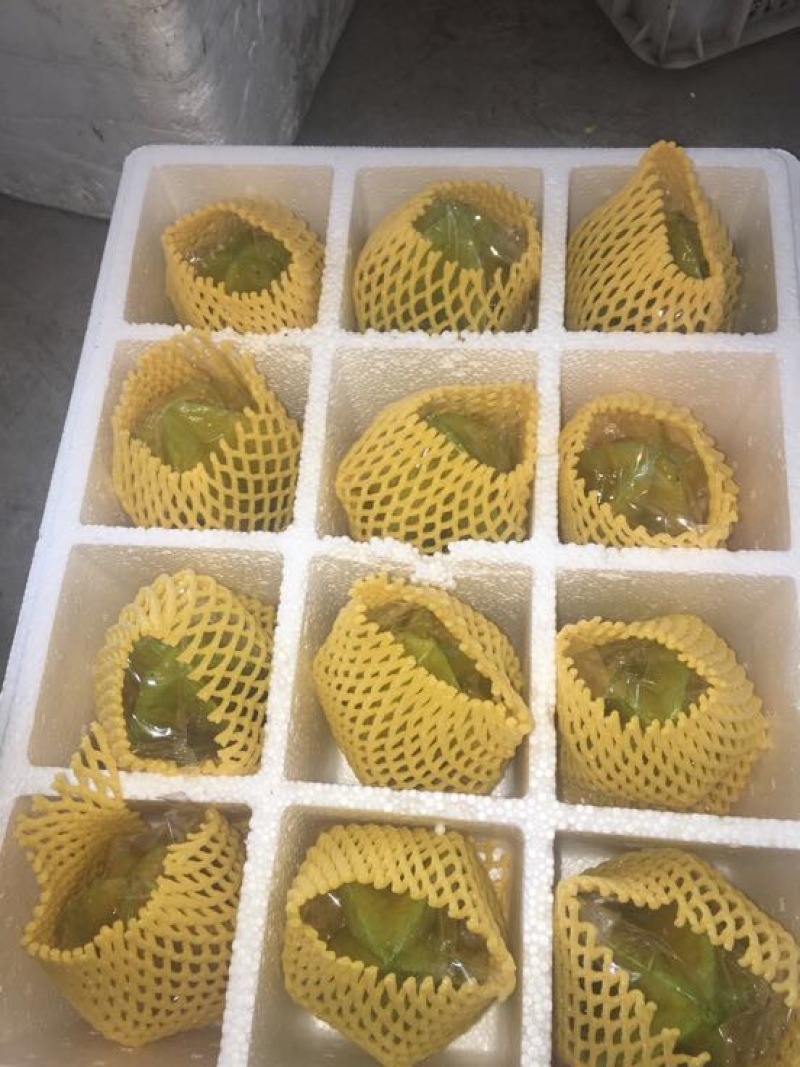 红杨桃