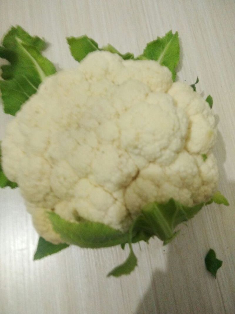 白花菜散装