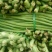 长豆角60厘米起，青条豆角保质保量，欢迎新老顾客来选购，
