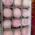 预售红富士苹果70mm以上纸+膜袋