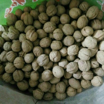 核桃