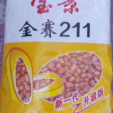 玉米种子