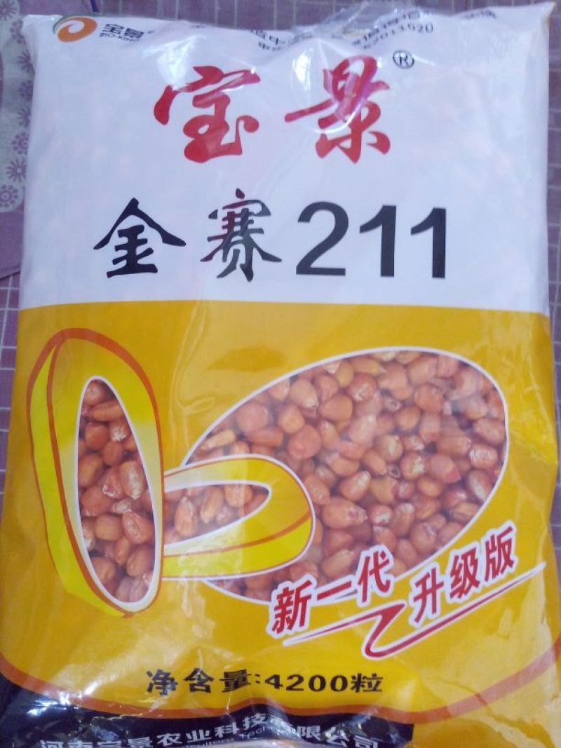 玉米种子