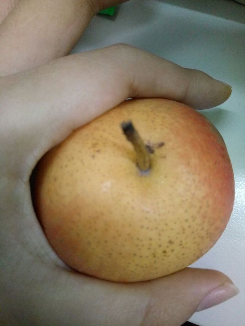 南果梨100~150g光果