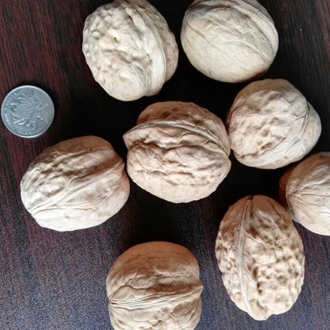 核桃去皮