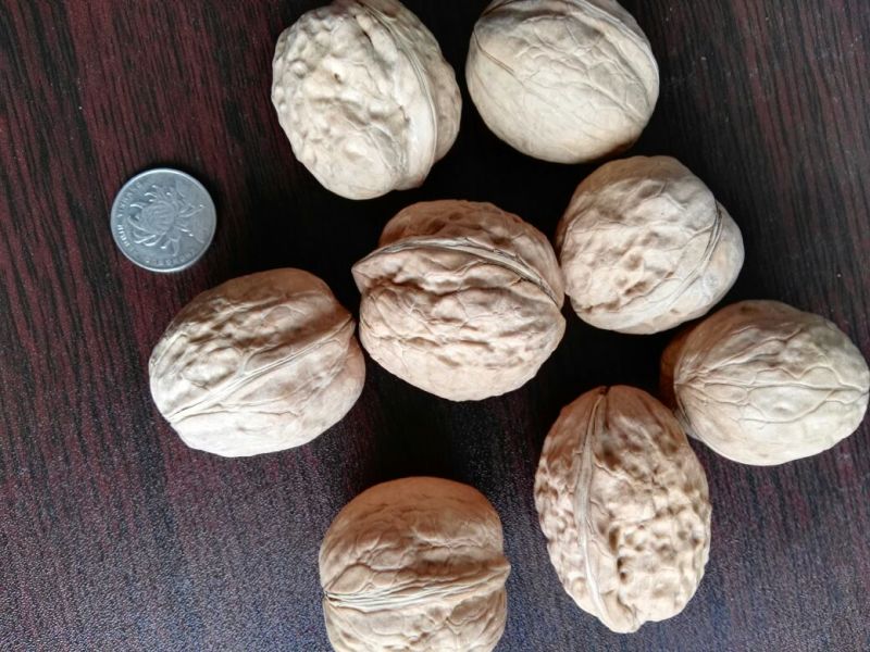 核桃去皮