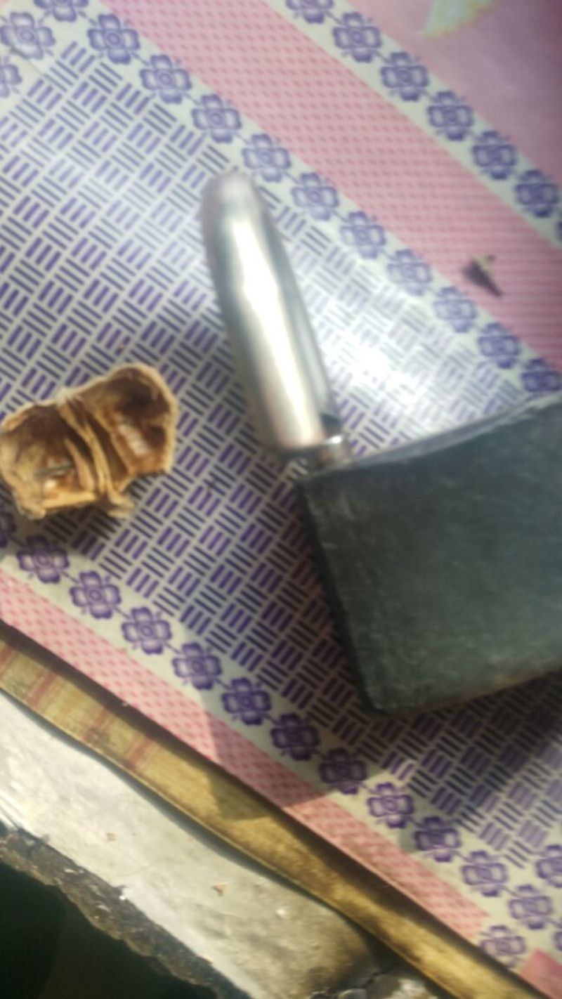 薄皮核桃40mm以上去皮干
