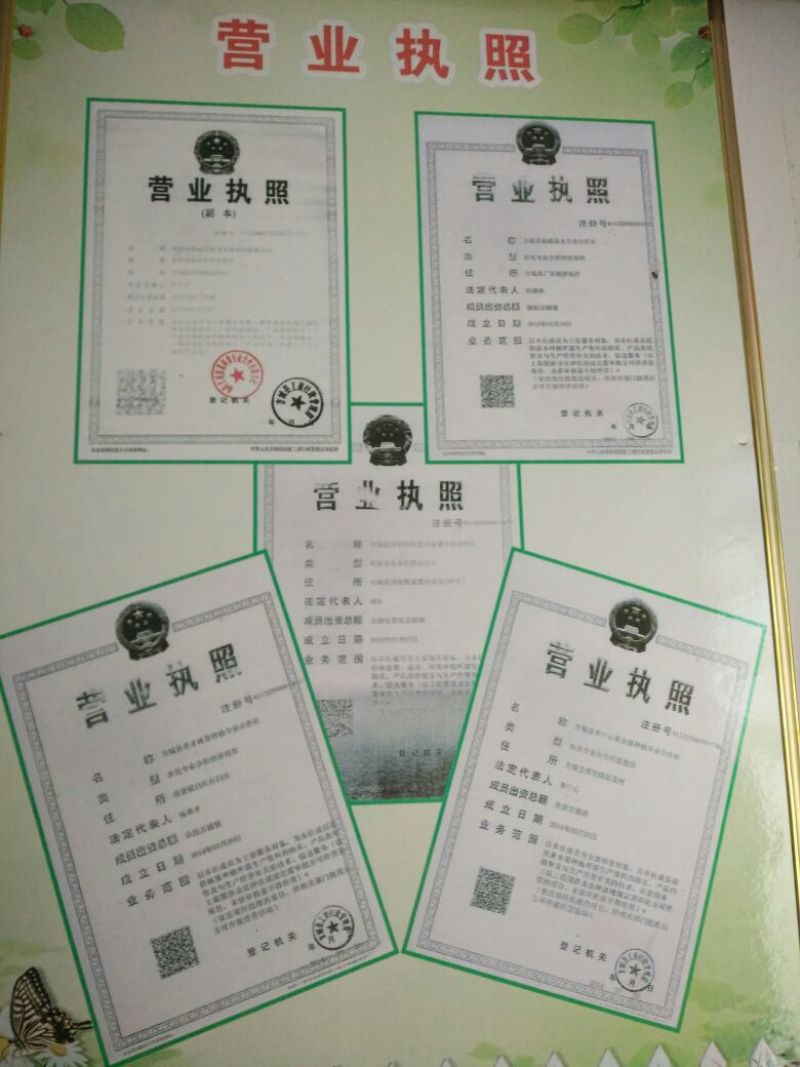 黄金梨200~250g纸袋