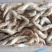 青虾食用26~30只/kg