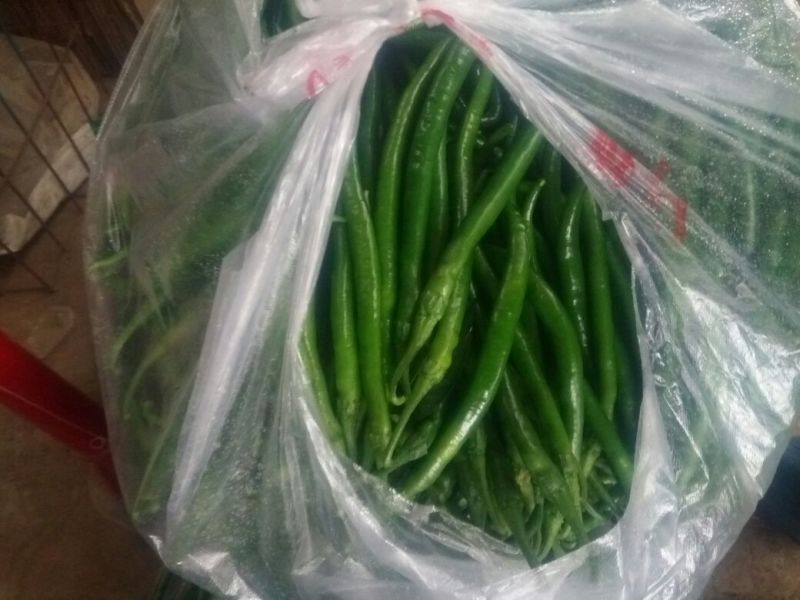 精品线椒★20厘米以上青中辣夏邑产地一手货源