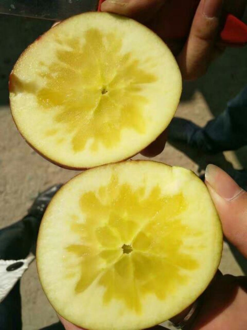 水晶富士苹果75mm以上光果