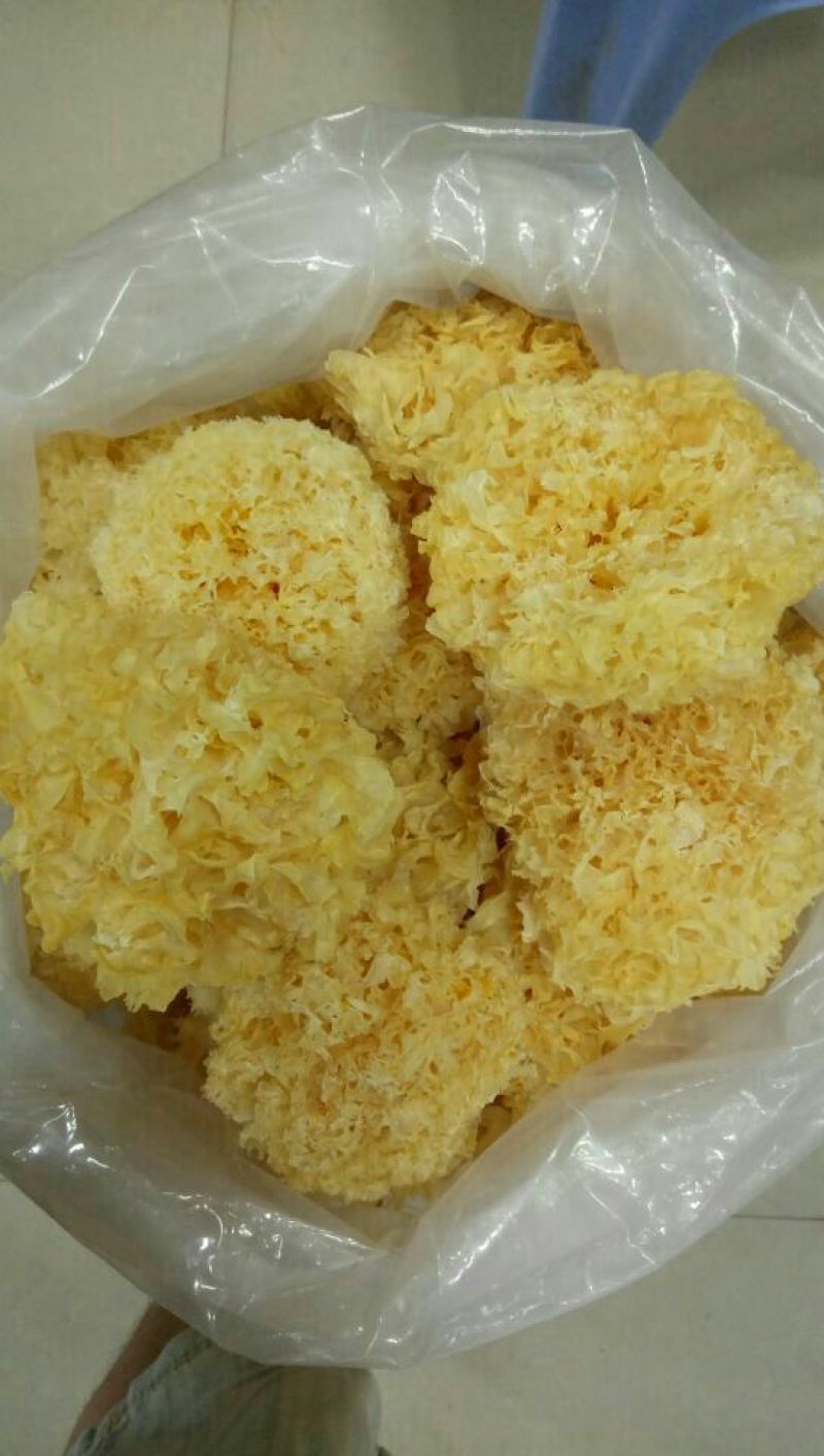 银耳特级