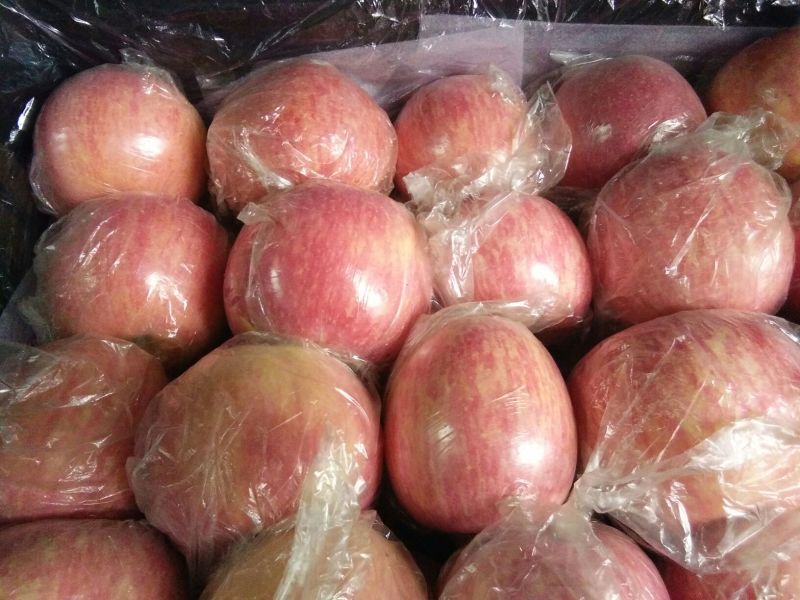 晚熟平陆坡上红富士苹果80mm以上纸+膜袋现货