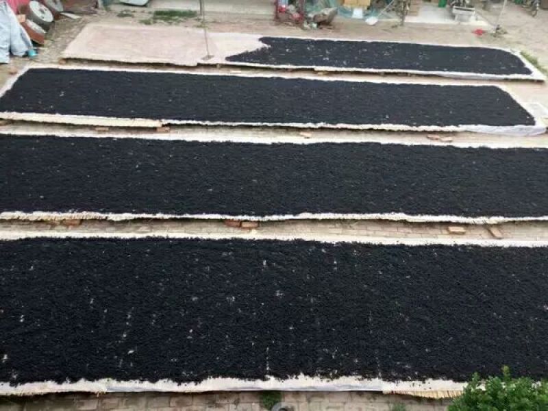 桑葚干无沙无尘产地直发一手货源支持线上保障交易