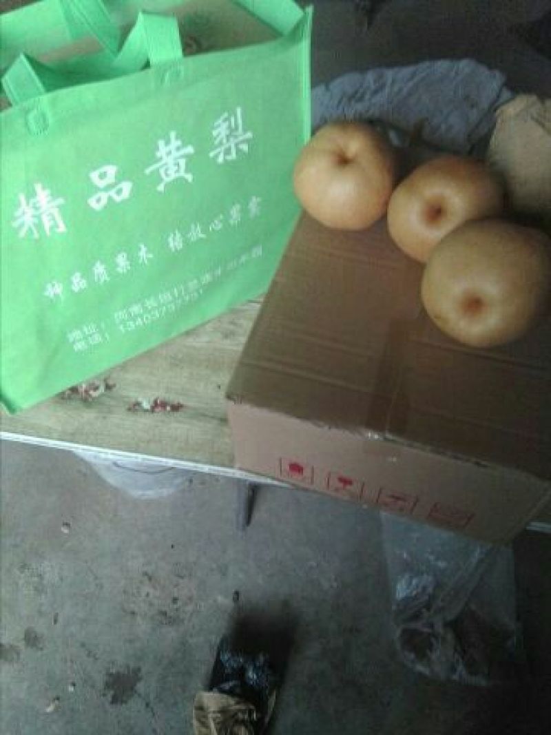 晚秋黄梨600g以上纸箱