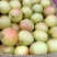 苹果梨200~250g纸箱