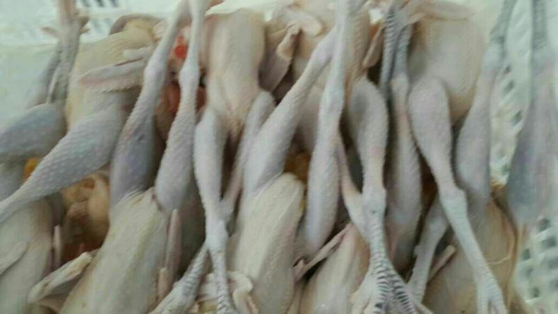 白条鸡