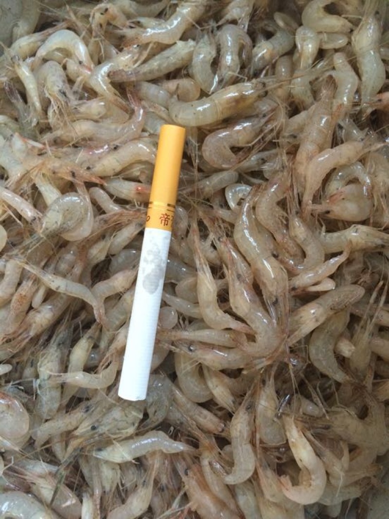 河虾