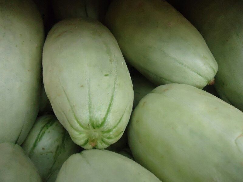 羊角蜜甜宝甜瓜0.5斤以上
