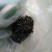 古树普洱茶一级