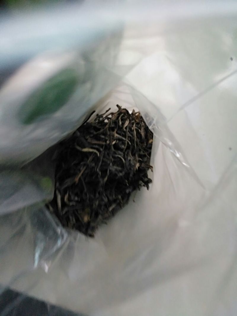 古树普洱茶一级