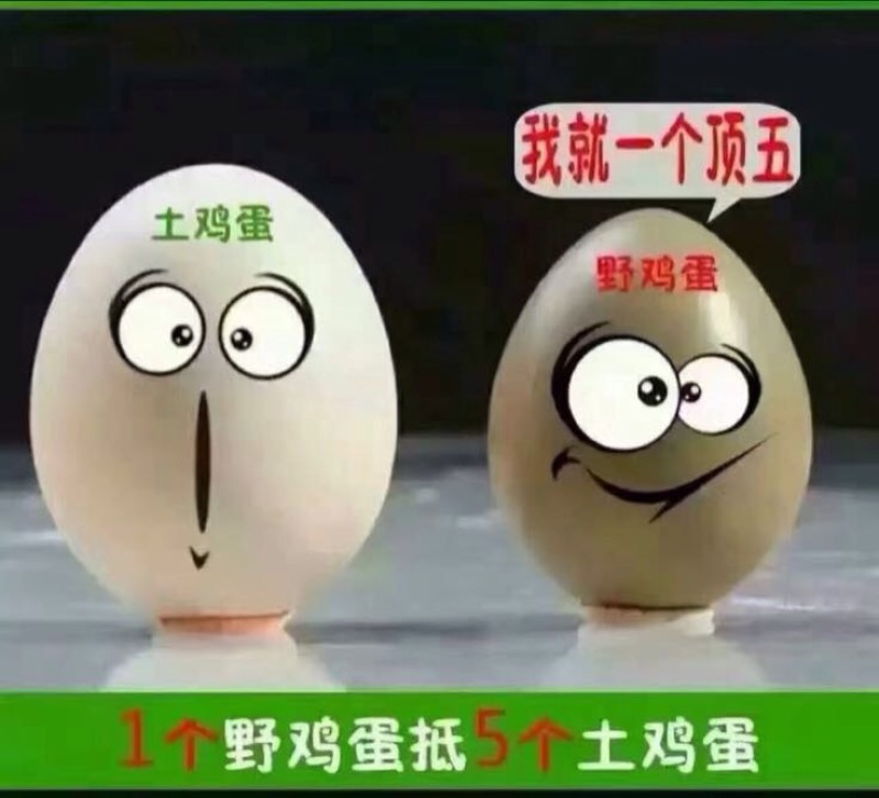野鸡蛋