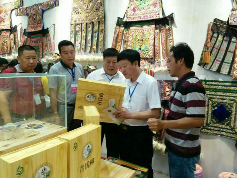 青钱柳茶一级