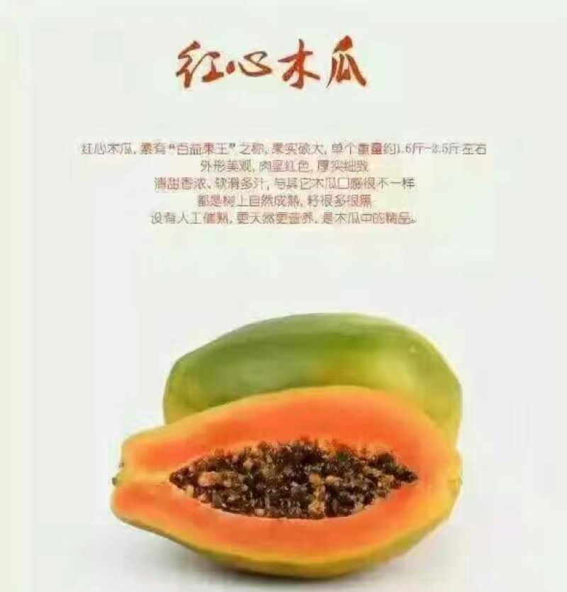 水果木瓜1.5~2斤