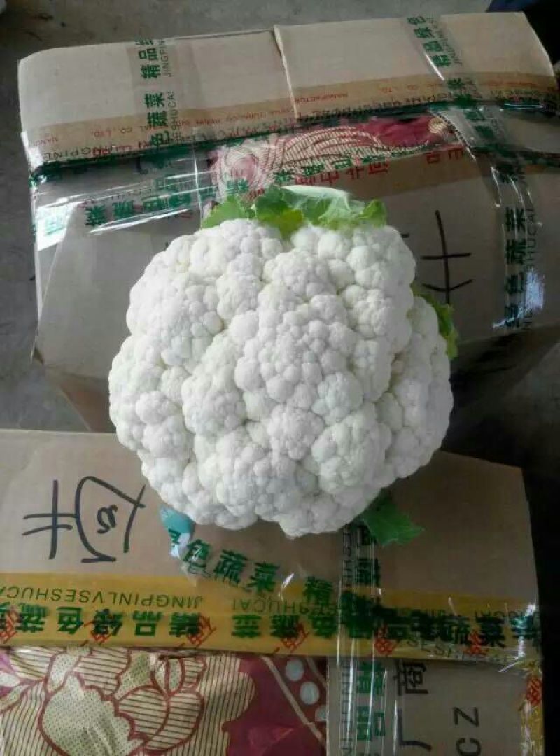 精品菜花2斤适中乳白一年四季，大量供应