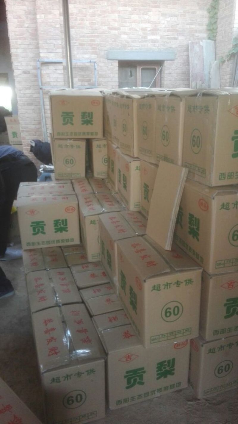 蒲城酥梨250~300g纸箱