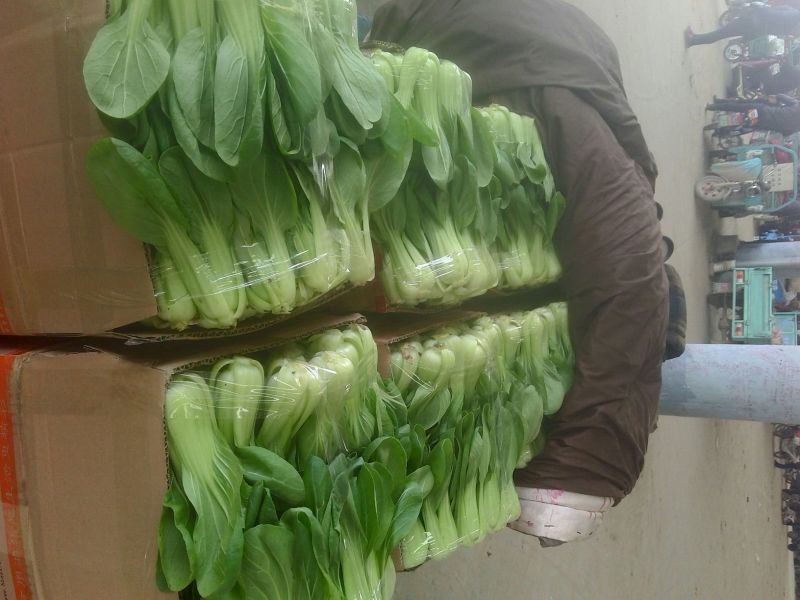 我处小油菜量大从优，需要的联系我